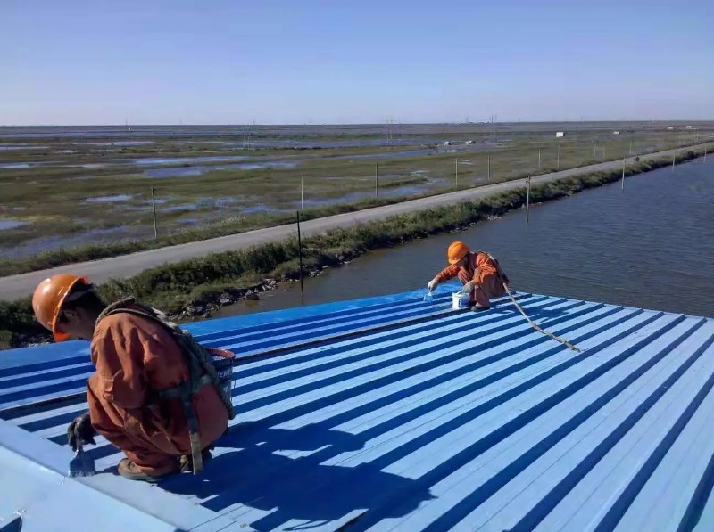 伍家岗钢结构屋面漏水原因